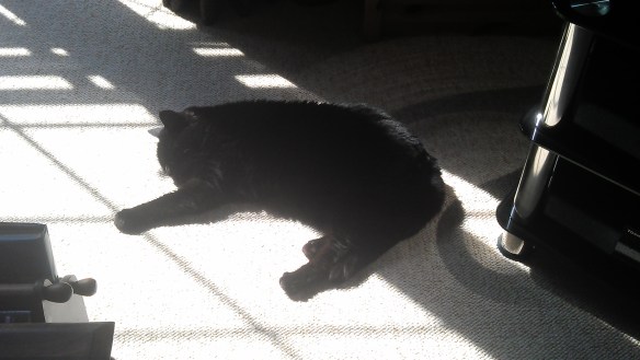 More sunshine please