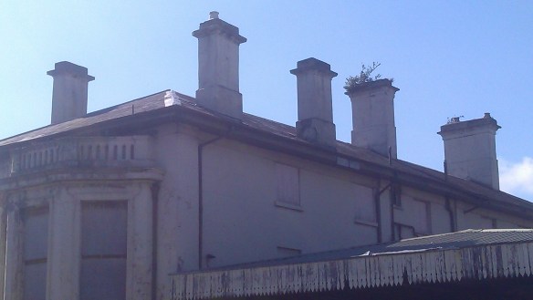 Tumbleweed junction [3]