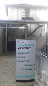 Tumbleweed Junction 6