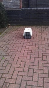 Parking space no limo