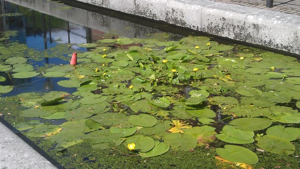 Innovative traffic control schemes