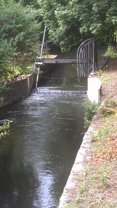 local weir