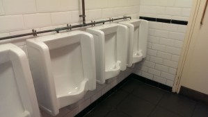 6. Brains journey [3]