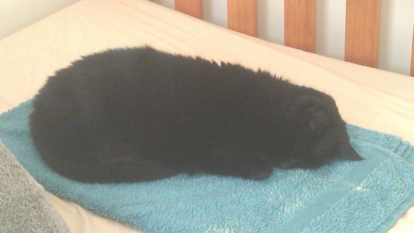 Tiring day at the office