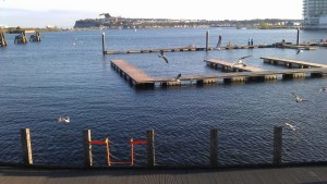 Cardiff Bay sweep 7