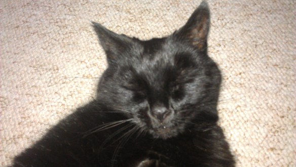 Look, no eyes!