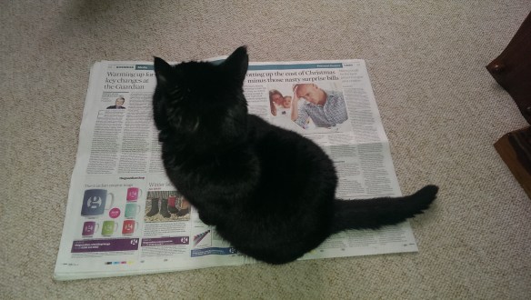 Newspaper
