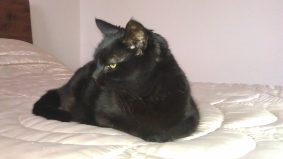 Is this my best side?