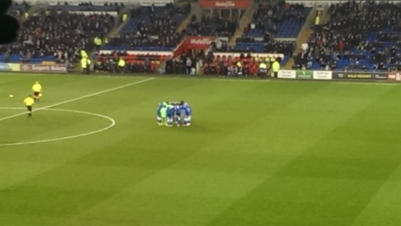 Who brought the budgie seed?