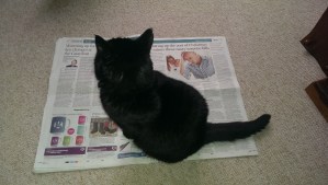Newspaper