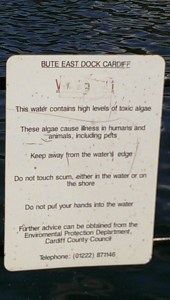 Bute East Dock warning