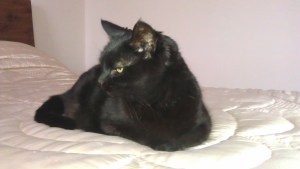 Is this my best side?