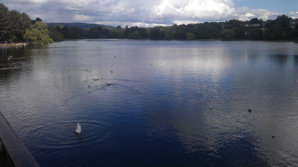 Roath  park lake [3]