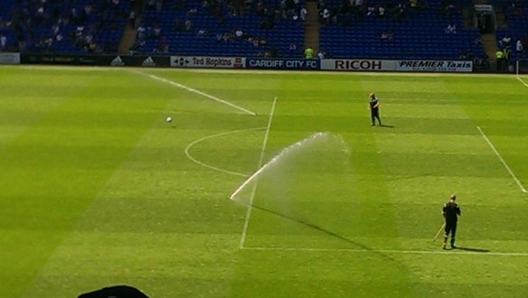 Watering pitch