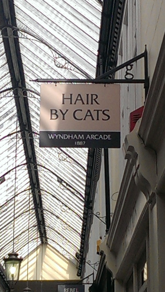 Hair by Cats