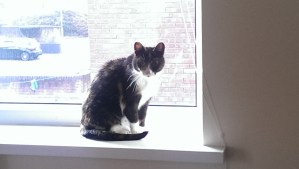 You looking at me [2]