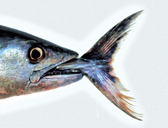 Not supposed to happen