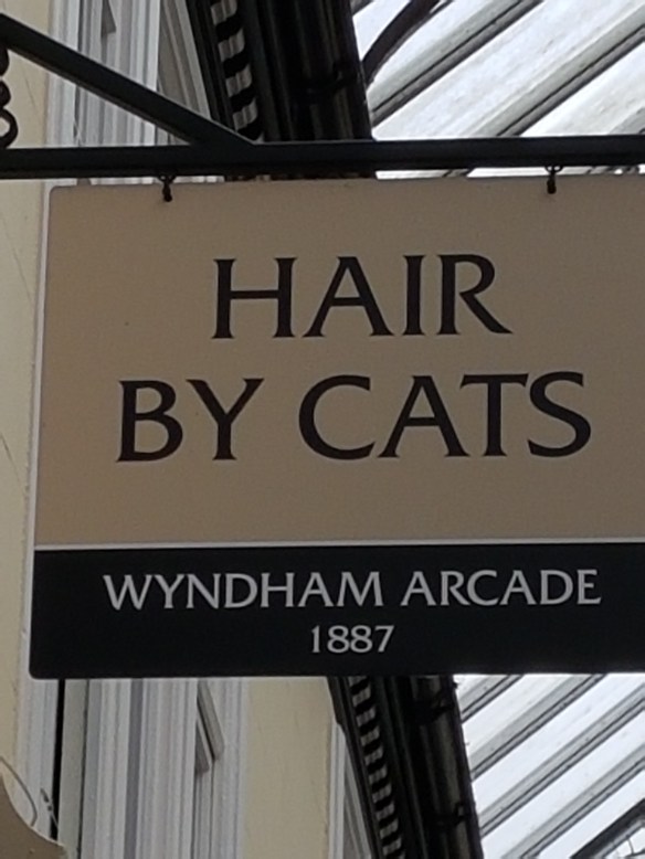 Hair by Cats [2]