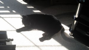 more-sunshine-please