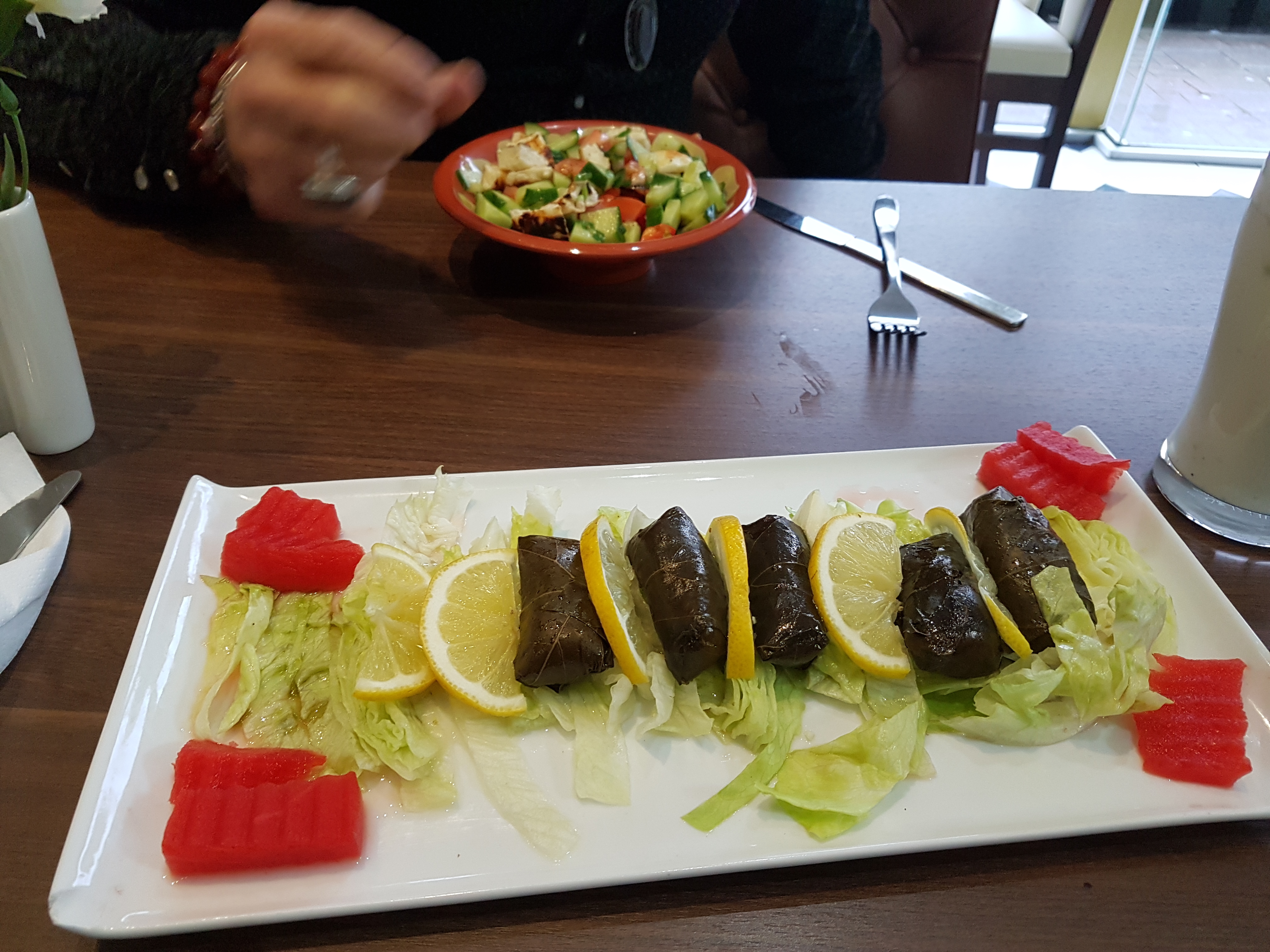 starter-of-vine-leaves-and-halloumi-salad-and-ayran-drinks