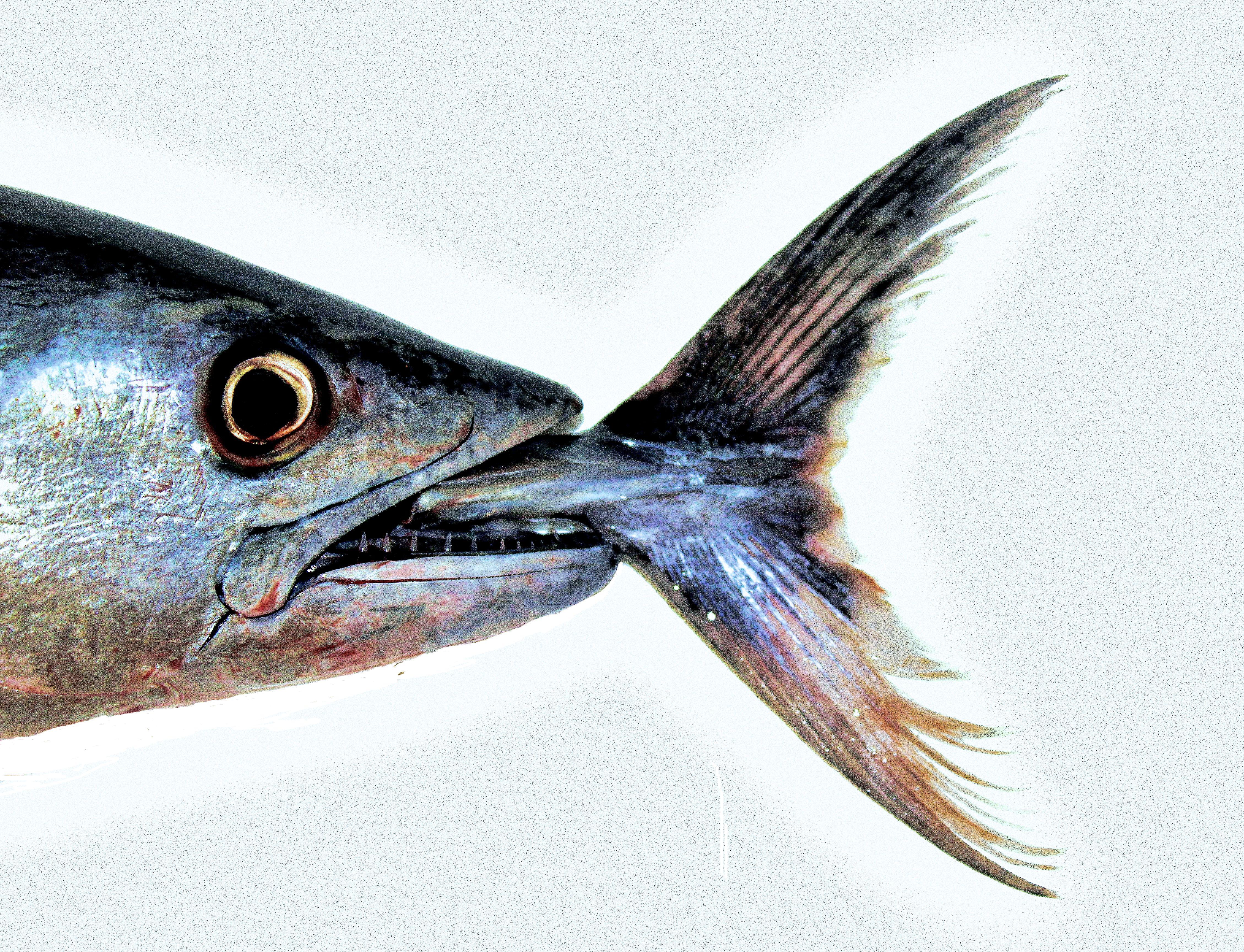 not-supposed-to-happen