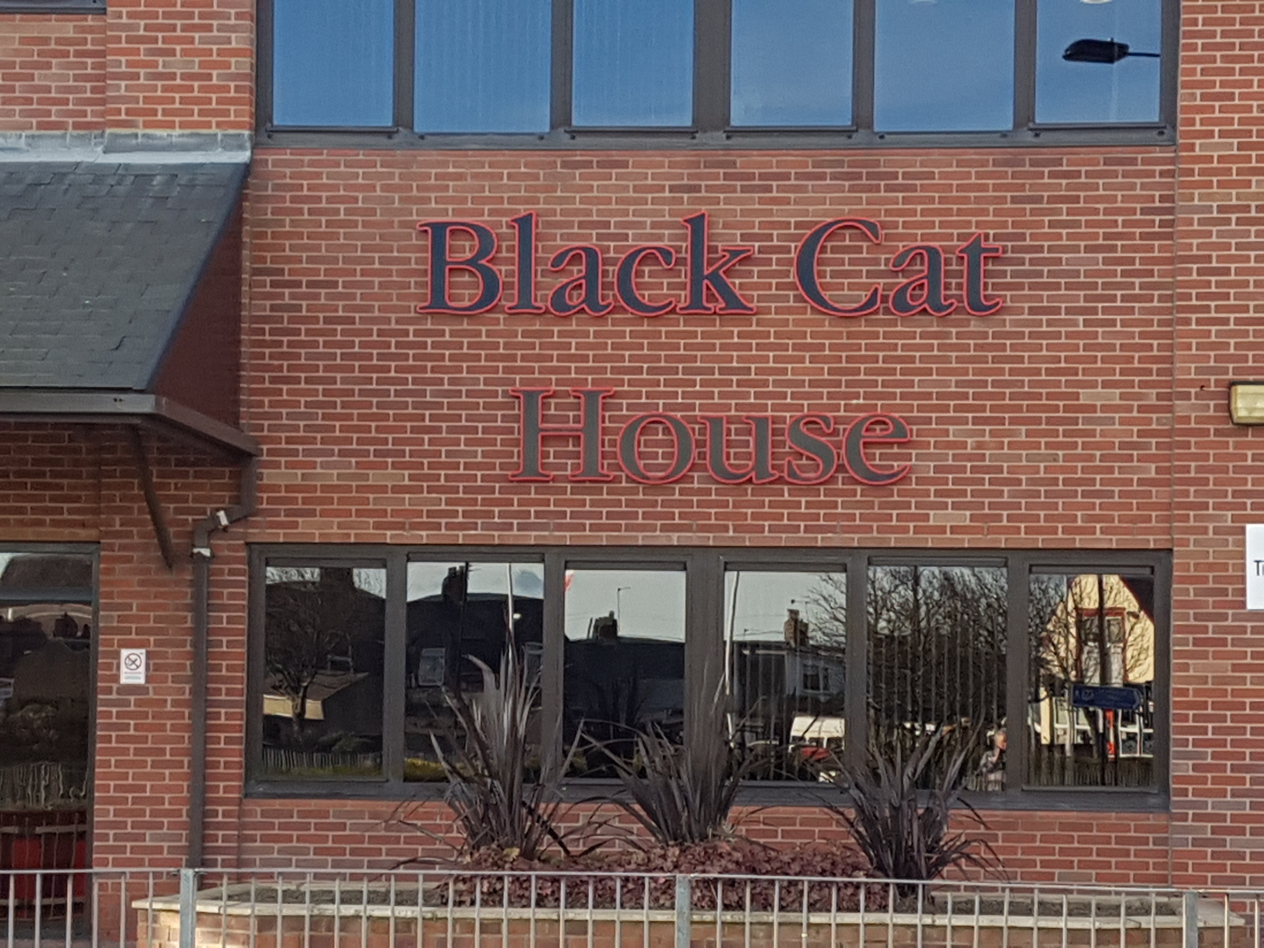Black Cat House