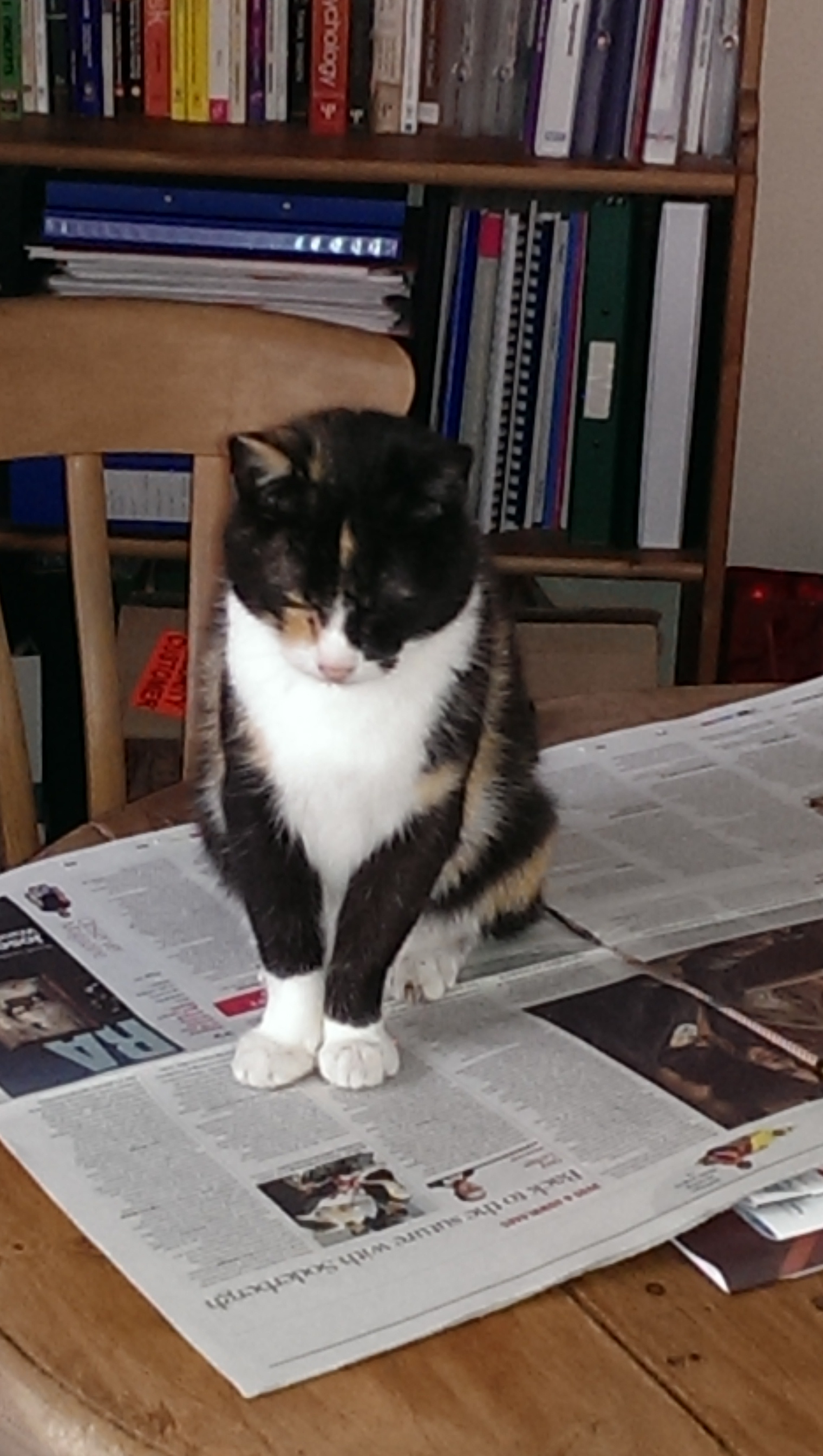 Reading paper and books