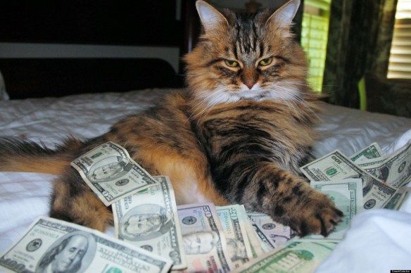 o-CASH-CAT-facebook
