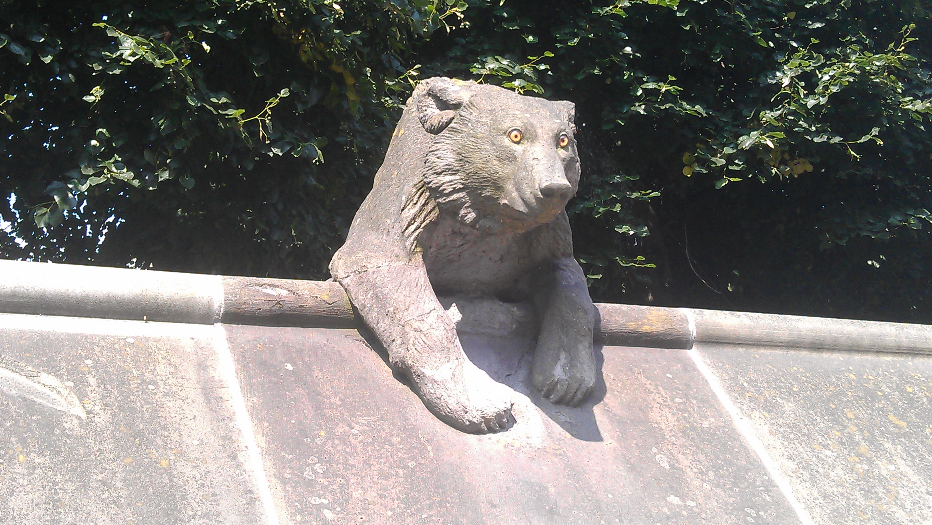 5. Desperately holding on