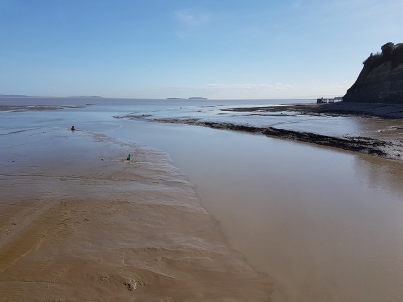 Flatholme and Steepholme [3]