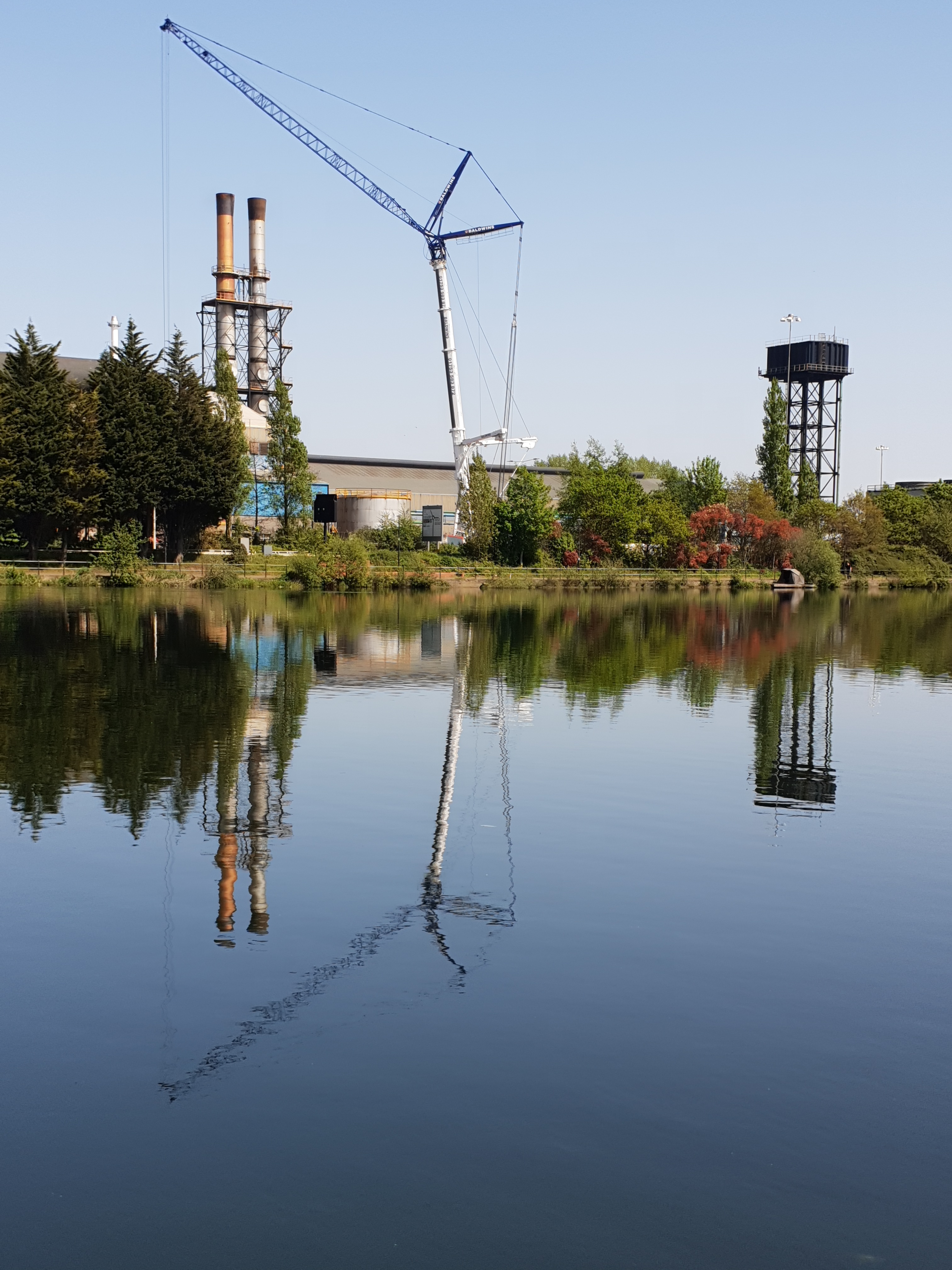 Reflections on Bute Dock East