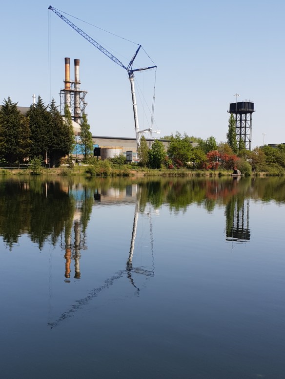 Reflections on Bute Dock East
