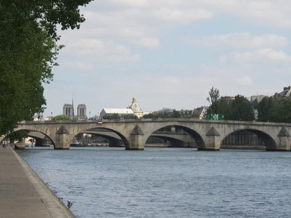 Notre Dame in distance