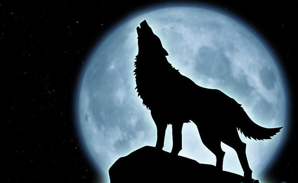wolf_howling_at_the_moon_by_hmmmm1797