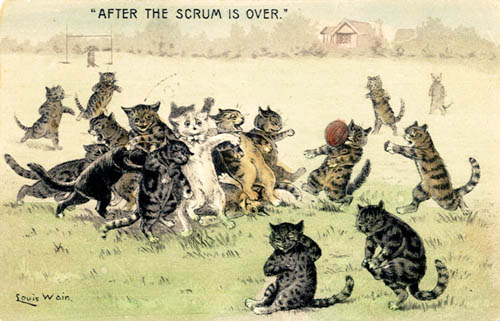 1907_cats