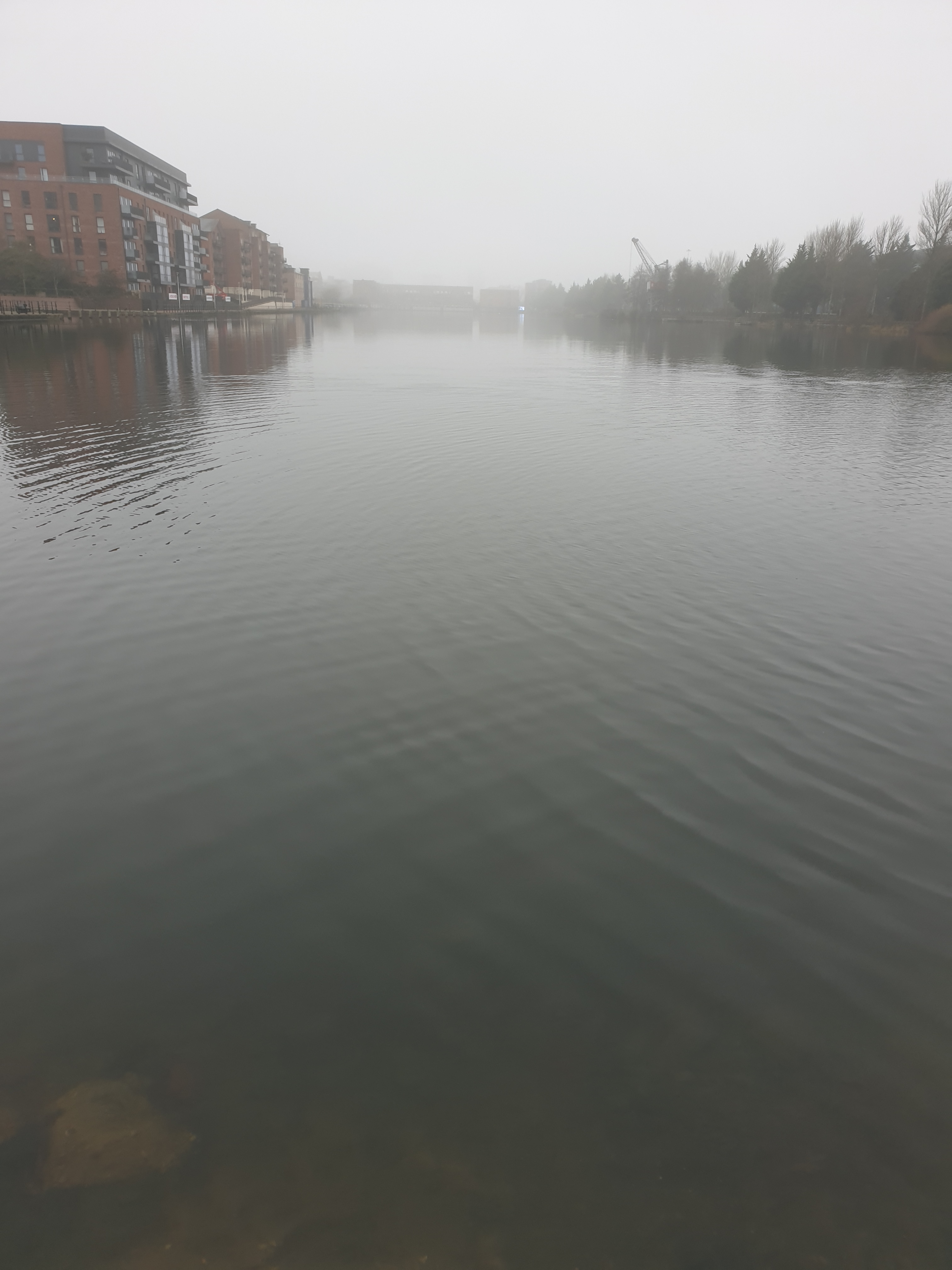 2020 foggy Bute East Dock