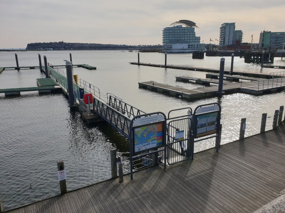 Saturday at Bay March 20